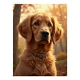 thumbnail image 1 of Diamond Art Kits for Adults - 5d Golden Retriever Autumn Portrait Diamond Painting for Adults, Diamond Art for Adults Beginners, Diamond Painting Kits for Adults for Home Wall Decor, 1 of 7