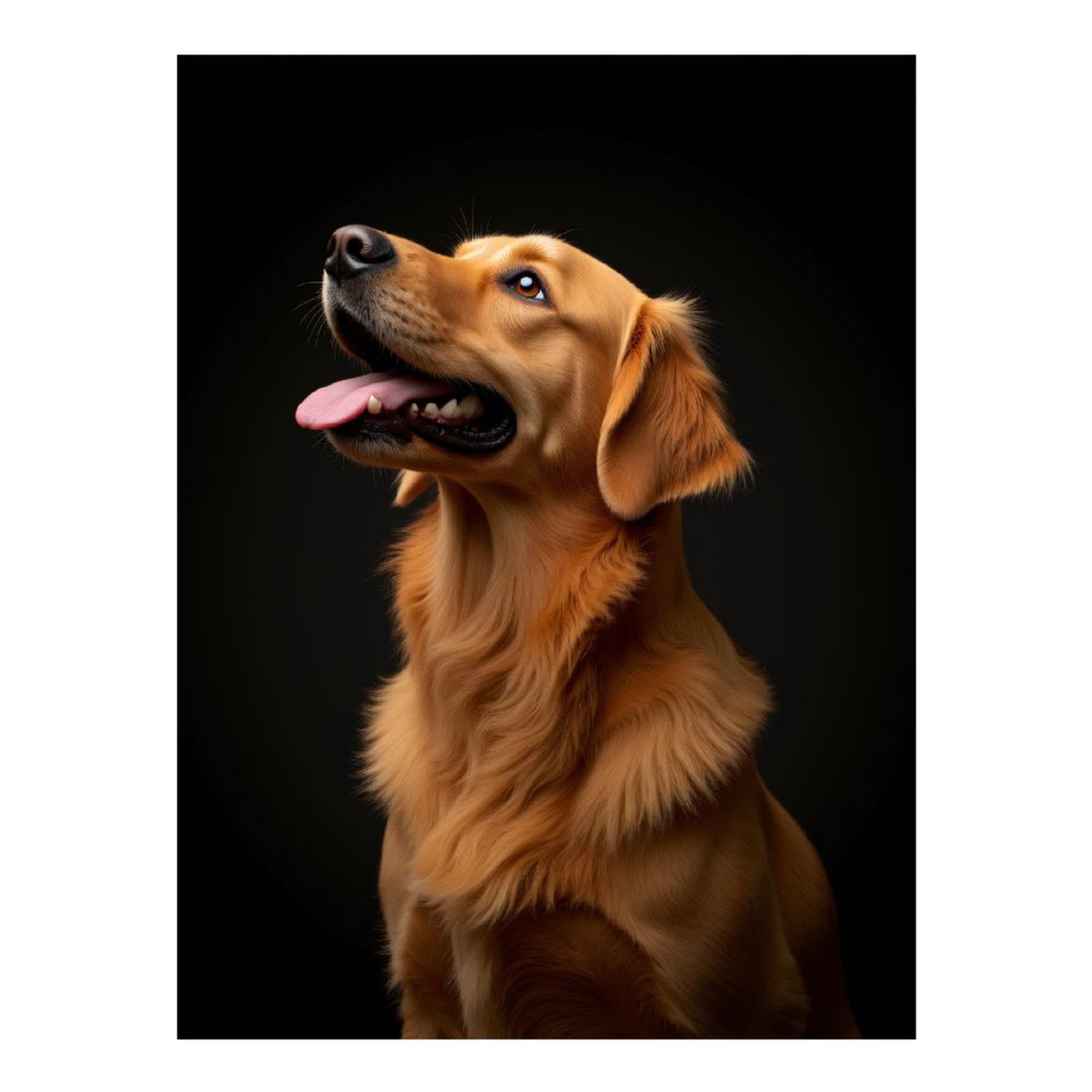 Diamond Art Kits for Adults - 5d Golden Retriever Portrait Bliss Diamond Painting for Adults, Diamond Art for Adults Beginners, Diamond Painting Kits for Adults for Home Wall Decor
