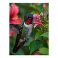 thumbnail image 1 of Diamond Art Kits for Adults - 5d Hummingbird Vibrant Blooms Nature Scene Diamond Painting for Adults, Diamond Art for Adults Beginners, Diamond Painting Kits for Adults for Home Wall Decor, 1 of 7