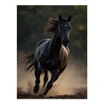 thumbnail image 1 of Diamond Art Kits for Adults - 5d Majestic Black Horse Running Diamond Painting for Adults, Diamond Art for Adults Beginners, Diamond Painting Kits for Adults for Home Wall Decor, 1 of 7