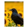thumbnail image 1 of Diamond Art Kits for Adults - 5d Raven Sunflowers Bright Yellow Diamond Painting for Adults, Diamond Art for Adults Beginners, Diamond Painting Kits for Adults for Home Wall Decor, 1 of 7