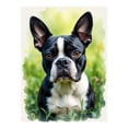 thumbnail image 1 of Diamond Art Kits for Adults, Boston Terrier Portrait Garden Bliss 5D Diamond Painting Kits for Adults Beginners, DIY Full Drill Diamond Painting, Gem Art and Crafts 12x16, 1 of 7