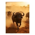 thumbnail image 1 of Diamond Art Kits for Adults, Buffalo Herd Sunset Dusty Path 5D Diamond Painting Kits for Adults Beginners, DIY Full Drill Diamond Painting, Gem Art and Crafts 12x16, 1 of 7