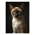 thumbnail image 1 of Diamond Art Kits for Adults, Cat Amber Eyes Feline Portrait 5D Diamond Painting Kits for Adults Beginners, DIY Full Drill Diamond Painting, Gem Art and Crafts 12x16, 1 of 7