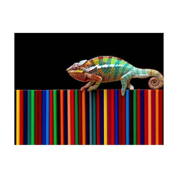 Diamond Art Kits for Adults, Chameleon Panther On Colored PencilsDiamond Painting Kits for Beginners, Frameless Round 5D Full Drill Diamonds Art Pictures Gem Art Crafts Home Decor Gifts