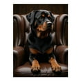 thumbnail image 1 of Diamond Art Kits for Adults, Dog On Leather Armchair Noble Pose 5D Diamond Painting Kits for Adults Beginners, DIY Full Drill Diamond Painting, Gem Art and Crafts 12x16, 1 of 7