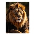 thumbnail image 1 of Diamond Art Kits for Adults, Lion Majestic Mane Gaze 5D Diamond Painting Kits for Adults Beginners, DIY Full Drill Diamond Painting, Gem Art and Crafts 12x16, 1 of 7