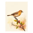 thumbnail image 1 of Diamond Art Kits for Adults, Orange Bird Branch Leaves Watercolor 5D Diamond Painting Kits for Adults Beginners, DIY Full Drill Diamond Painting, Gem Art and Crafts 12x16, 1 of 7