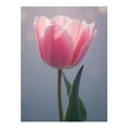 thumbnail image 1 of Diamond Art Kits for Adults - Pink Tulip Soft Petals Blooming 5d Diamond Painting for Adults, Diamond Art for Adults Beginners, Frameless Diamond Painting Kits for Adults for Home Wall Decor, 1 of 7