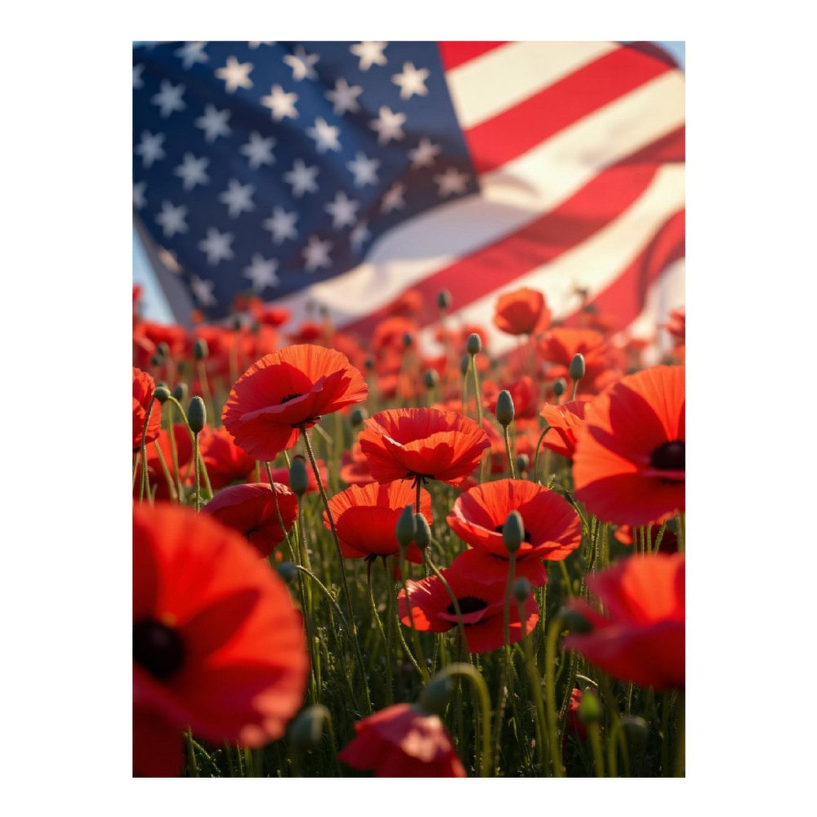 Diamond Art Kits for Adults, Red Poppies American Flag Background 5D Diamond Painting Kits for Adults Beginners, DIY Full Drill Diamond Painting, Gem Art and Crafts 12x16