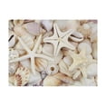 thumbnail image 1 of Diamond Art Kits for Adults, Starfishes On SeashellsDiamond Painting Kits for Beginners, Frameless Round 5D Full Drill Diamonds Art Pictures Gem Art Crafts Home Decor Gifts, 1 of 8