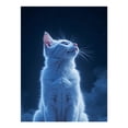 thumbnail image 1 of Diamond Art Kits for Adults, White Cat Night Sky Stars 5D Diamond Painting Kits for Adults Beginners, DIY Full Drill Diamond Painting, Gem Art and Crafts 12x16, 1 of 7