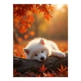 thumbnail image 1 of Diamond Art Kits for Adults - White Puppy Autumn Leaves Log 5d Diamond Painting for Adults, Diamond Art for Adults Beginners, Frameless Diamond Painting Kits for Adults for Home Wall Decor, 1 of 7