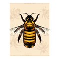 thumbnail image 1 of Diamond Art Kits for Adults, Honey BeeDiamond Painting Kits for Beginners, Frameless Round 5D Full Drill Diamonds Art Gem Art Crafts Home Decor Gifts, 1 of 8