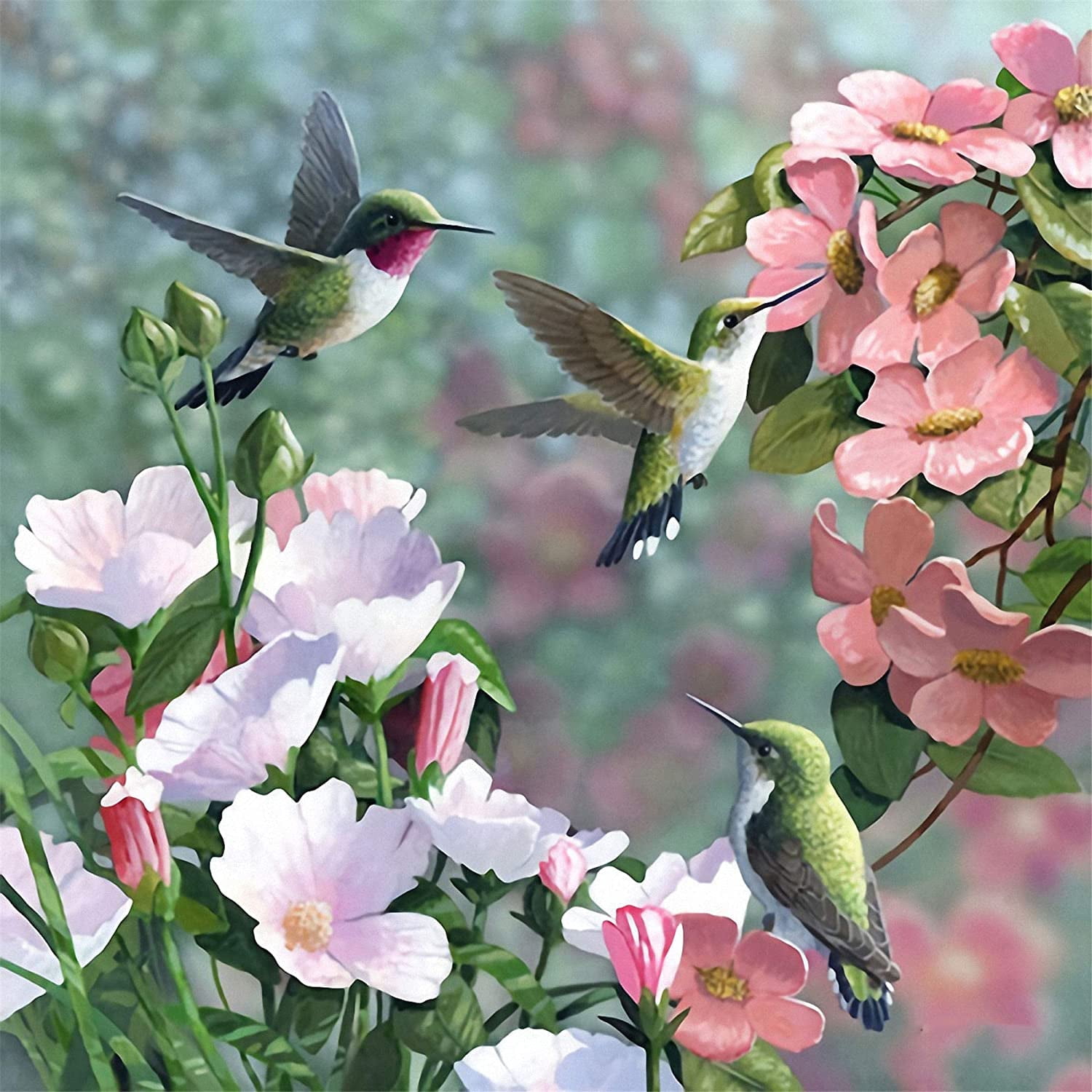 DIY 5D Full Drill Diamond Painting Kit for Adults Kids - Hummingbird ...