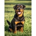 thumbnail image 1 of Diamond Art Rottweiler 5D Diamond Painting DIY Kits Full Round Drill Rhinestone Crystal by Number Embroidery Arts and Crafts for Living Room Bedroom Home Wall Decor 12x16 inch, 1 of 4