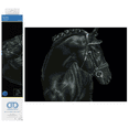 thumbnail image 1 of Diamond Dotz  Black Sheen Horse Diamond Painting Kits for Adults - Diamond Art Kits a Relaxing Creative Craft Kit with Dotz Gems  16.5"x20.5", 1 of 6