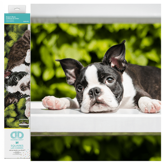 Diamond Dotz Boston Blues Diamond Painting Kits for Adults - Diamond Art Kits a Relaxing Creative Craft Kit with Dotz Gems 18.5x14.6