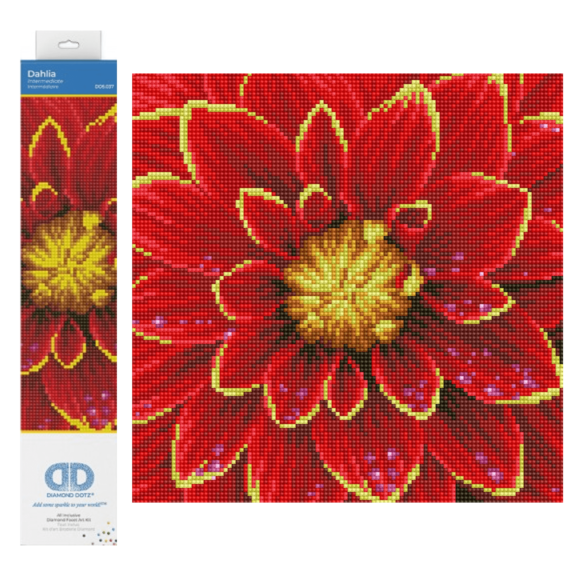 Dahlia