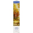 thumbnail image 1 of Diamond Dotz Diamond Embroidery Facet Art Kit 21.7"X30.7"-Thomas Kinkade A Walk Down Autumn Lane, 1 of 1