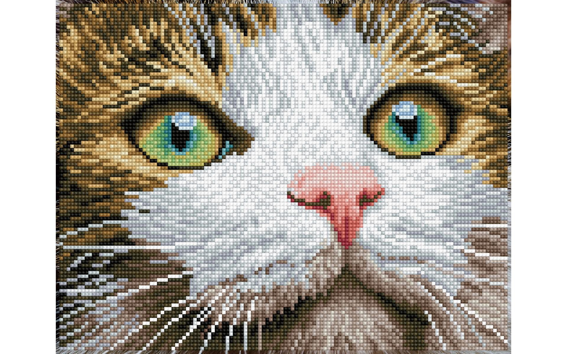 297723_9