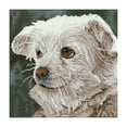 thumbnail image 1 of Diamond Dotz® Facet Art Kit, Who Me, 1 of 2