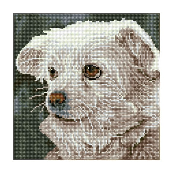 Diamond Dotz® Facet Art Kit, Who Me