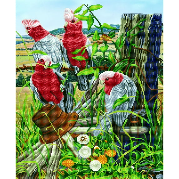 Diamond Dotz Galah Quartet Bird Diamond Painting Kits for Adults - Diamond Art Kits a Relaxing Creative Craft Kit with Dotz Gems 22.4"x18.5"