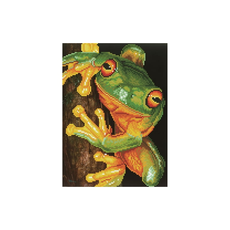 Diamond Art Kit 12x12 Intermediate Stain GL Frog