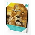 thumbnail image 1 of Diamond Dotz Lord of the Serengeti - Pre-Framed Kit Lion Diamond Painting Kits for Adults - Diamond Art Kits a Relaxing Creative Craft Kit with Dotz Gems 13.7"x17.7", 1 of 5