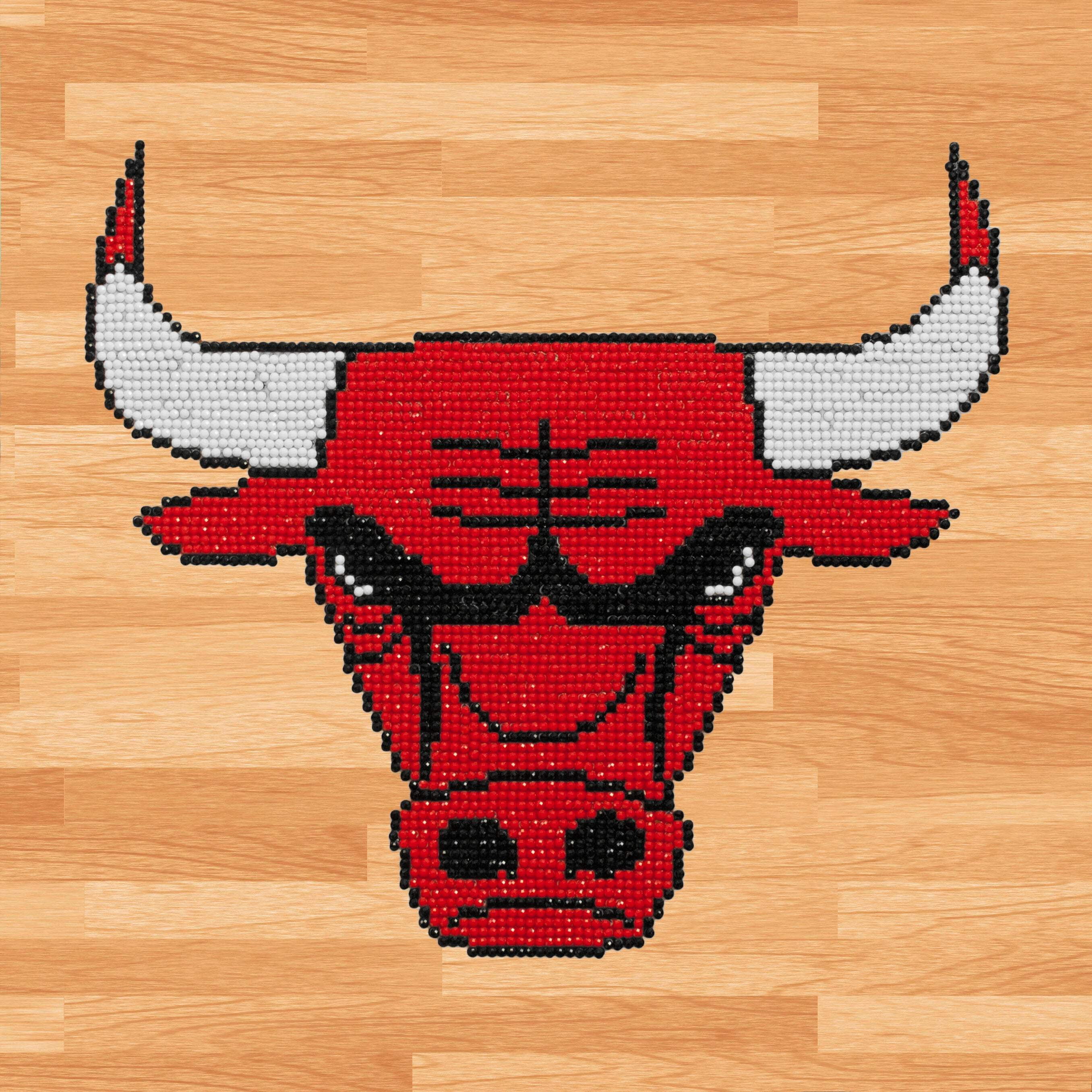 Diamond Dotz NBA Chicago Bulls Basketball Diamond Painting Kits for Adults - Diamond Art Kits a Relaxing Creative Craft Kit with Dotz Gems 12.6"x12.6"