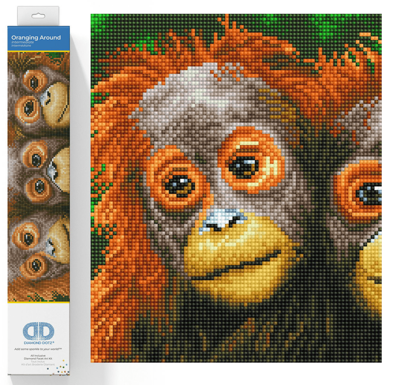 Diamond Dotz Oranging Around Diamond Painting Kits for Adults - Diamond Art Kits a Relaxing Creative Craft Kit with Dotz Gems 10.6x18.5