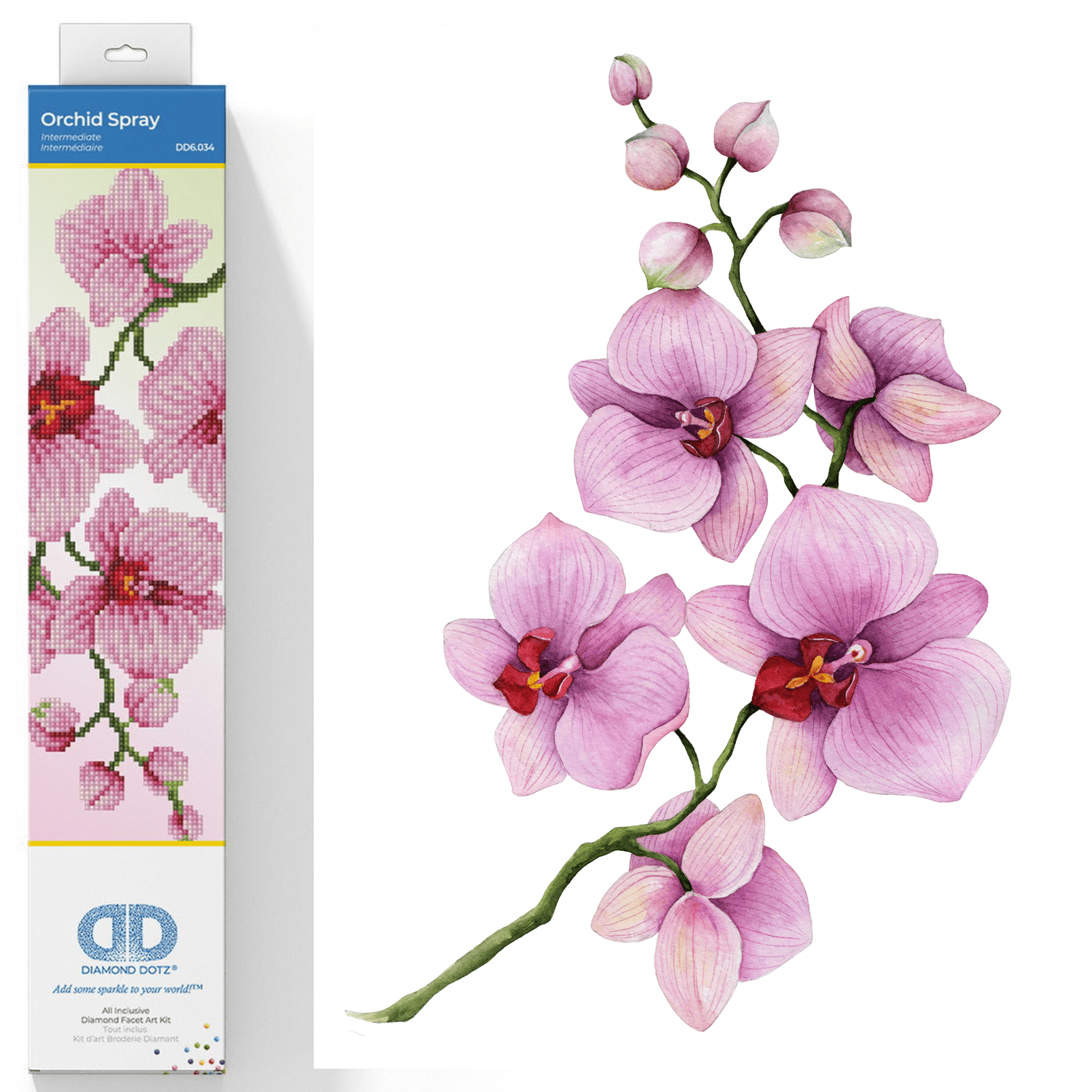 Orchid Spray