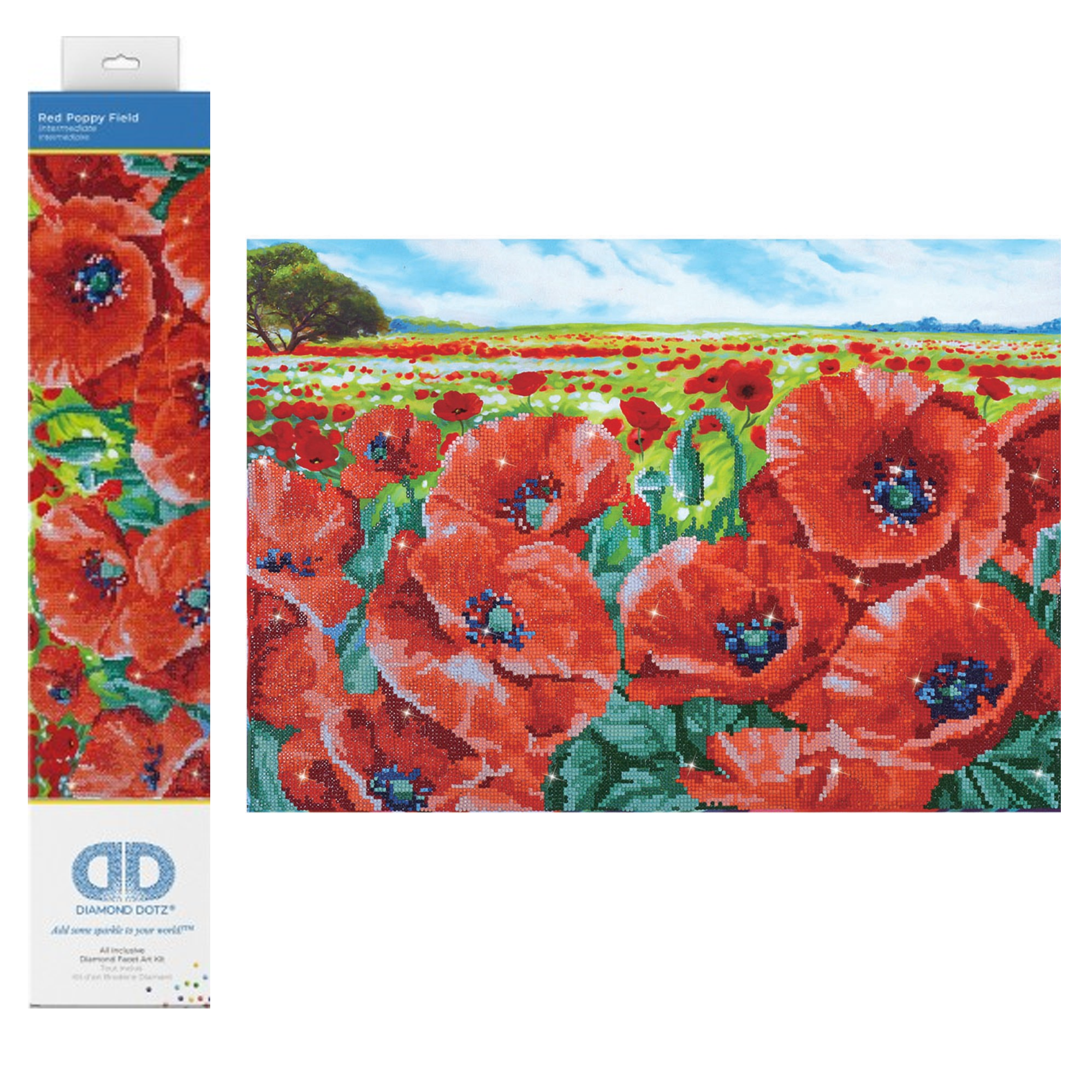 Red Poppy Field