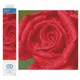 thumbnail image 1 of Diamond Dotz Rose Dew  Flower Diamond Painting Kits for Adults - Diamond Art Kits a Relaxing Creative Craft Kit with Dotz Gems 12"x12", 1 of 5
