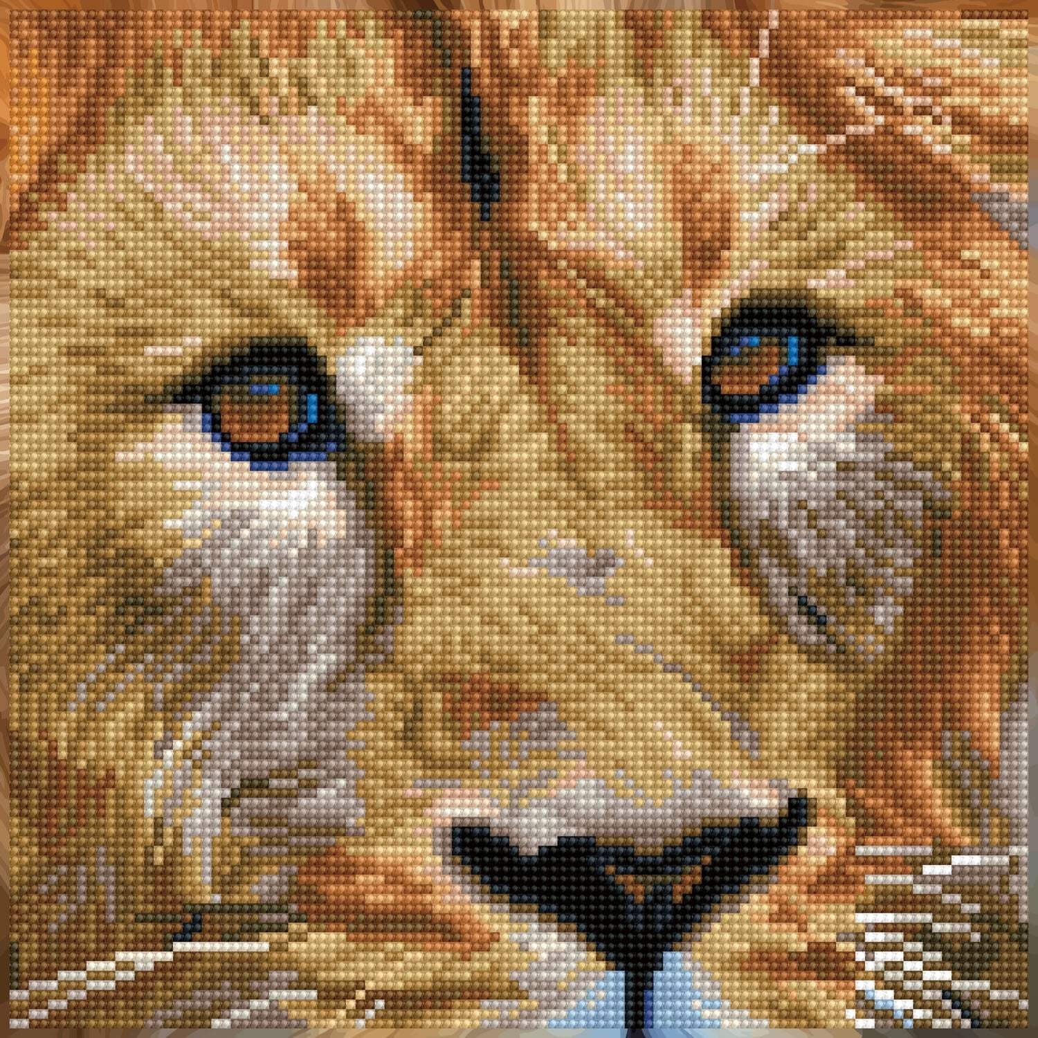 DIAMOND DOTZ® Serengeti Magic Lion Diamond Painting Kit -  12"x12"