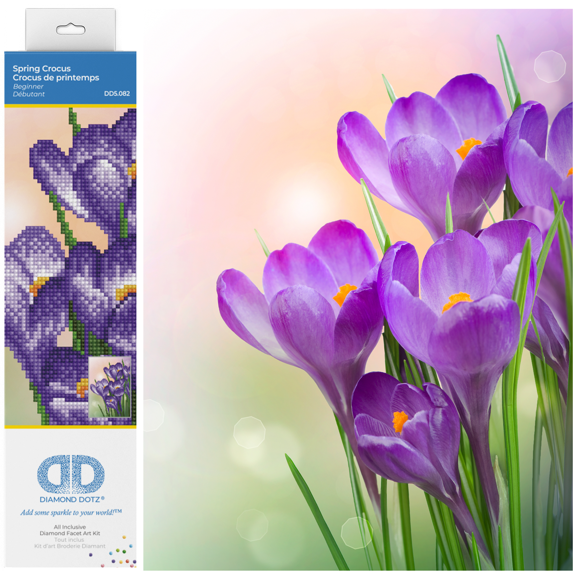 Spring Crocus
