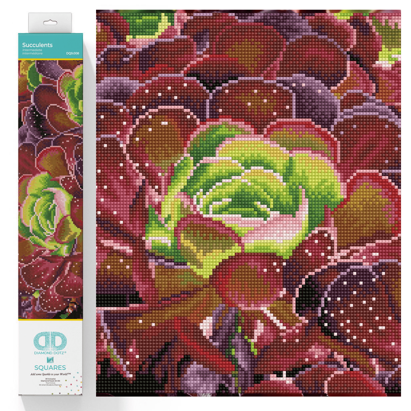 Succulents