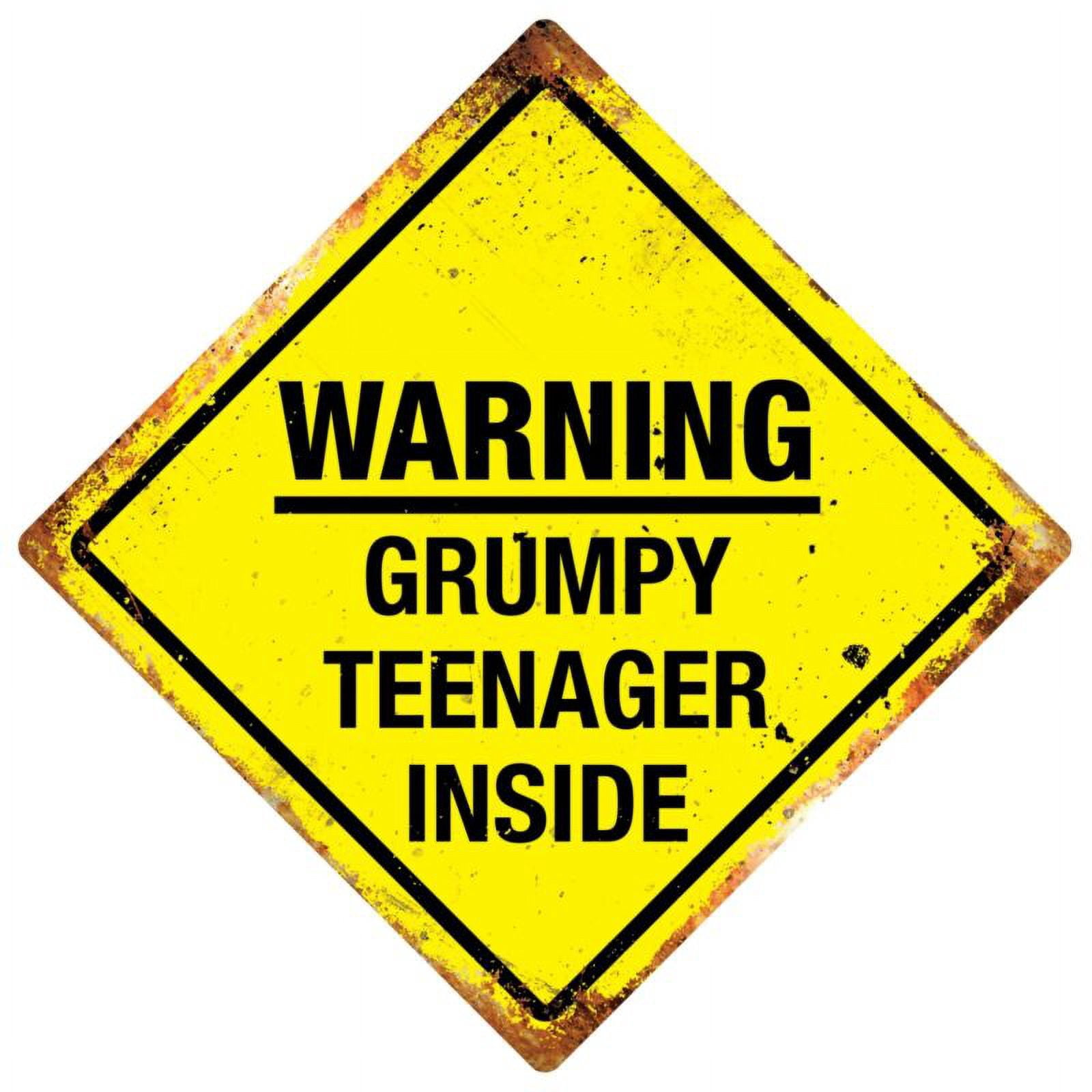 Grumpy Kid Sign Diamond Metal Wall Sign - Grumpy Teenager Warning Brat Bedroom Gift ...