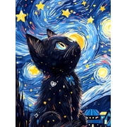 QUITEDEW 5D Diamond Painting Kits for Adults Black Cat,Relaxing Gem Painting Craft with Tools,Gifts Home Wall Decor12x16inch (Starry Night)