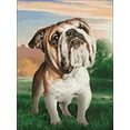 thumbnail image 1 of Diamond Painting Kit Dreaming Dog Crafting Spark 10.6 x 14.9 in CS2537 Diamond Art, 1 of 4