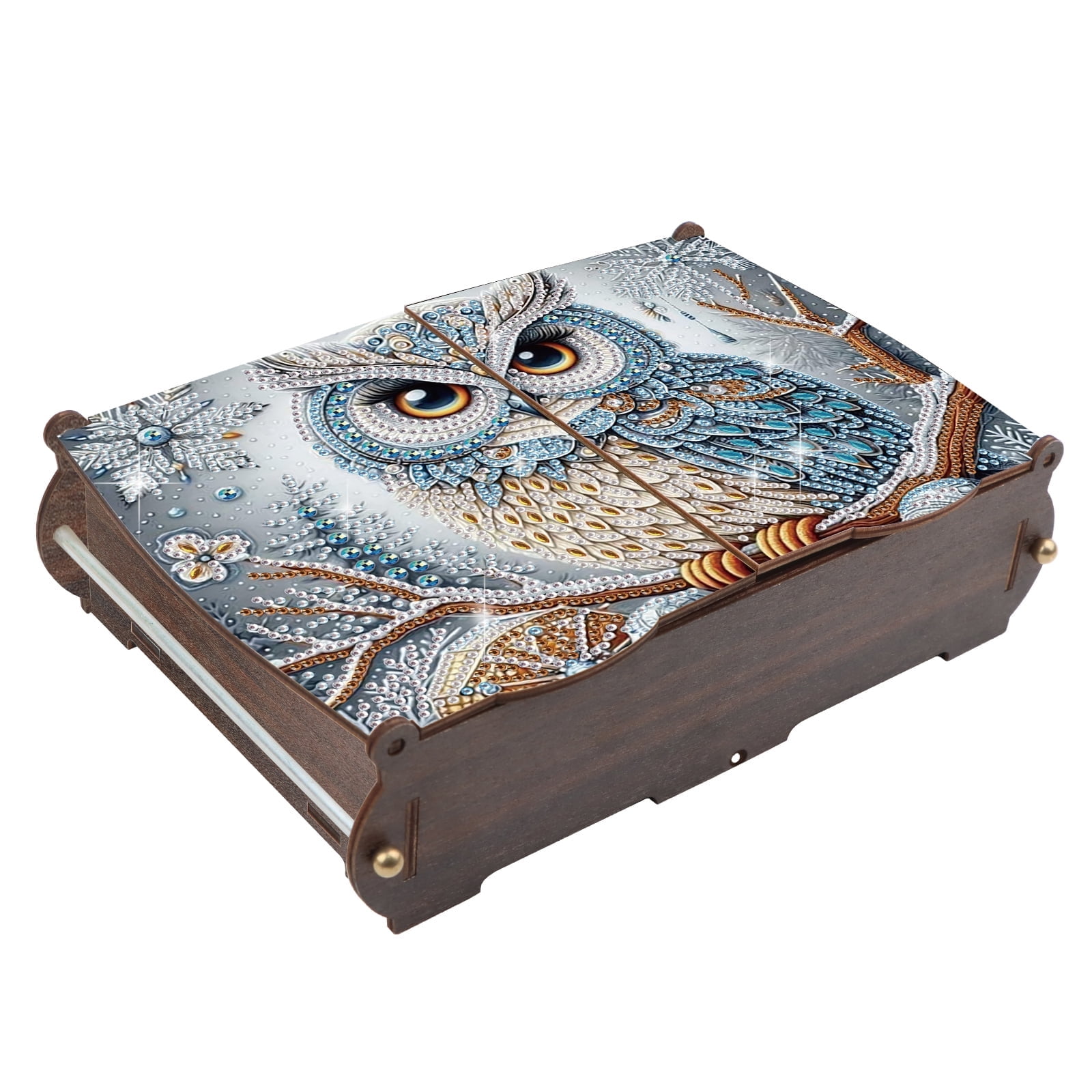 Diamond Painting Kit Storage Box Bold Owl DIY Multi-Functional Craft Storage Box Perfect for Home Offices and Holiday Gifts