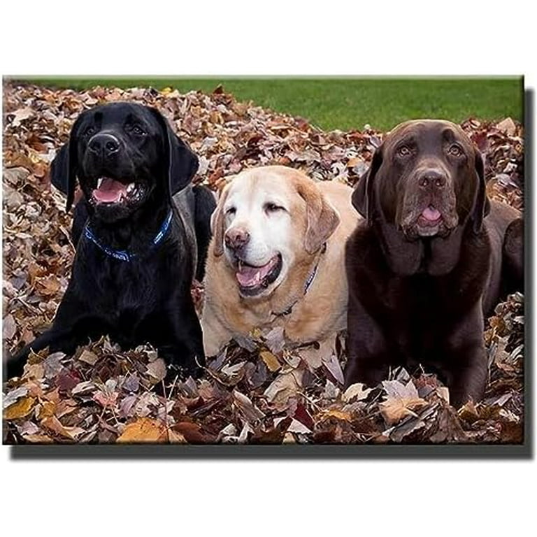 DIY Diamond Painting Dog for Adults, 5D Diamond Painting Kits Full Drill, Diamond  Art Kits, Round Diamond Art for Home Wall Decor and Gifts. Size 40cm x  30cm. 