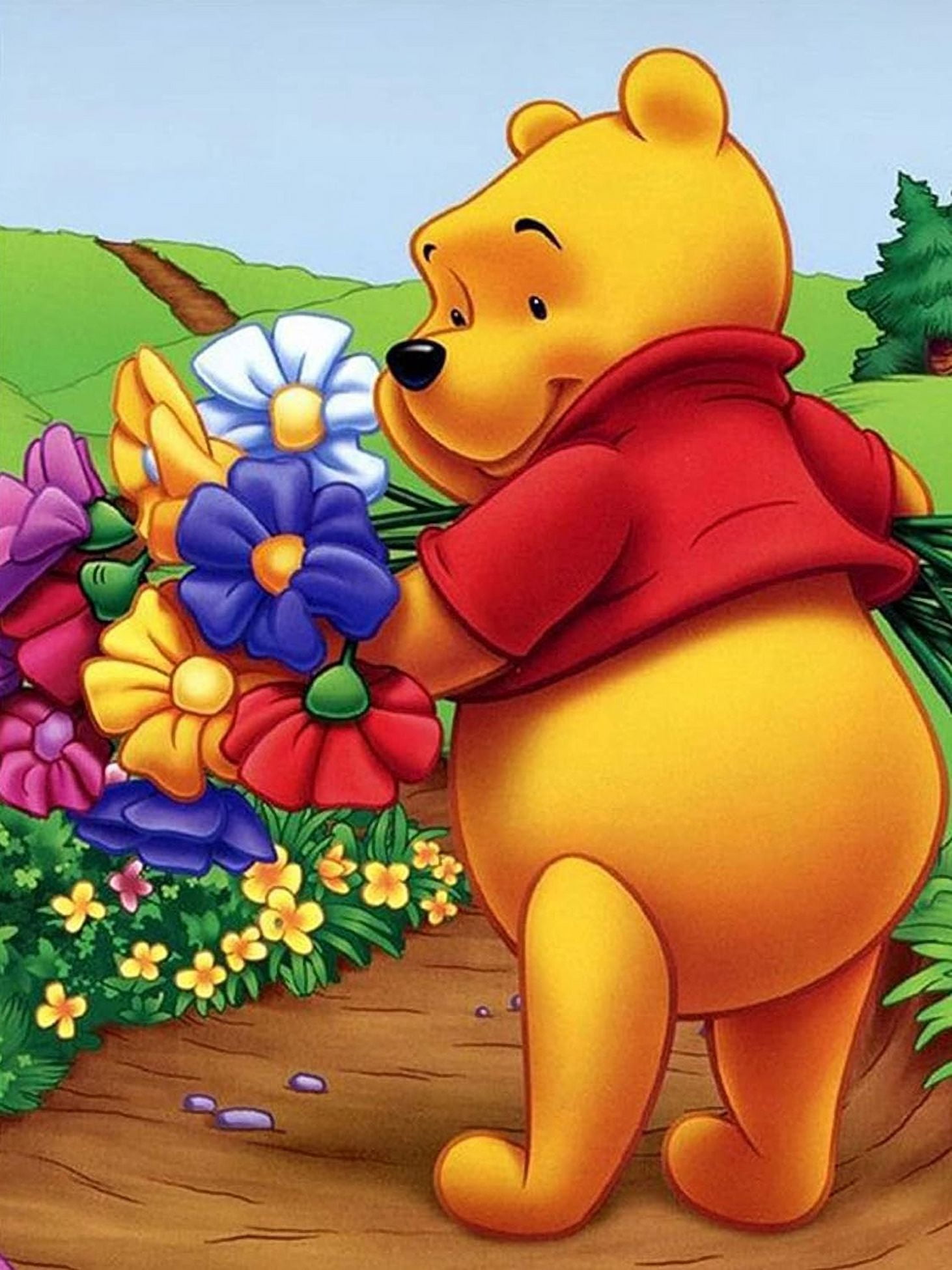 Diamond Painting Kits,Winnie the Pooh Diamond Art Kit for Adults Full