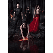 Diamond Painting Kits for Beginners,5D Diamond Painting for Adults,The Vampire Diaries Diamond Painting, Diamond Art ,Size 12x16inch