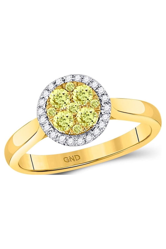 Diamond Princess 14kt Yellow Gold Womens Round Canary Yellow Diamond Circle Cluster Ring 1/2 Cttw