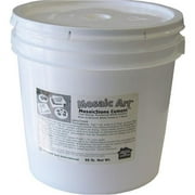 Diamond Tech International Diamond Tech Fast Dry Mosaic Stone Cement, 20 lbs Bucket, White