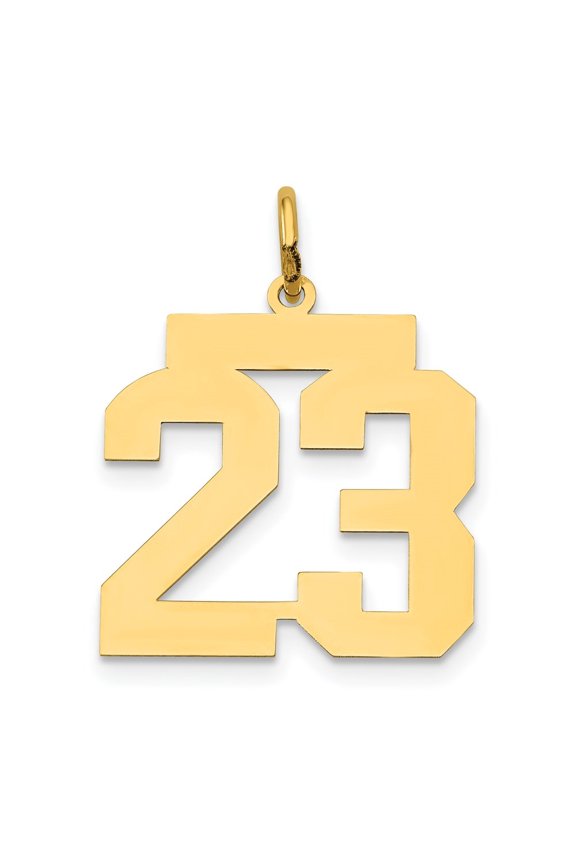 14K Yellow Gold Medium Polished Number 23 Charm for Women