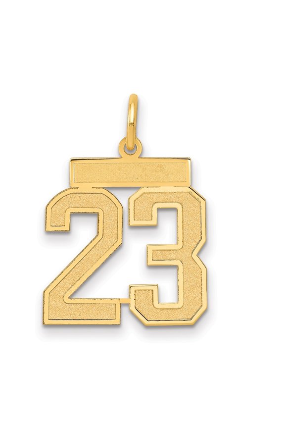 14K Yellow Gold Medium Satin Number 23 Charm for Women