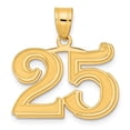 thumbnail image 1 of Diamond2Deal Mother's Day Gift 14K Yellow Gold Polished Etched Number 25 Pendant for Women, 1 of 6